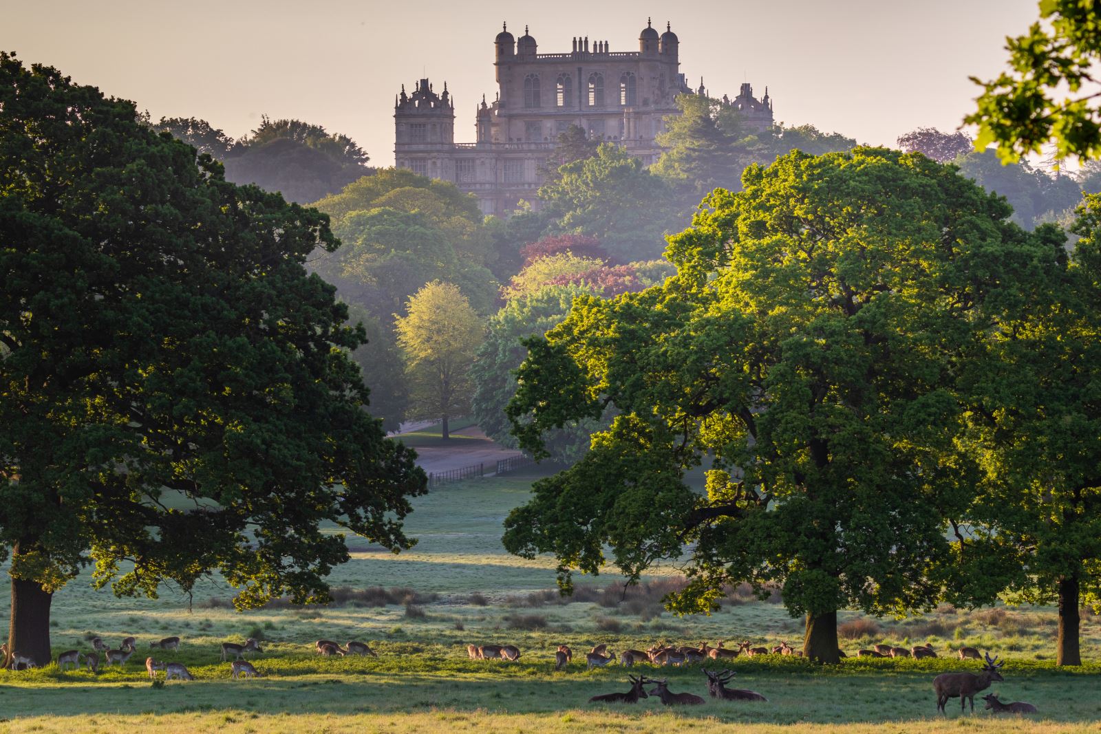 Portland Wollaton Park Tour Portland Charity