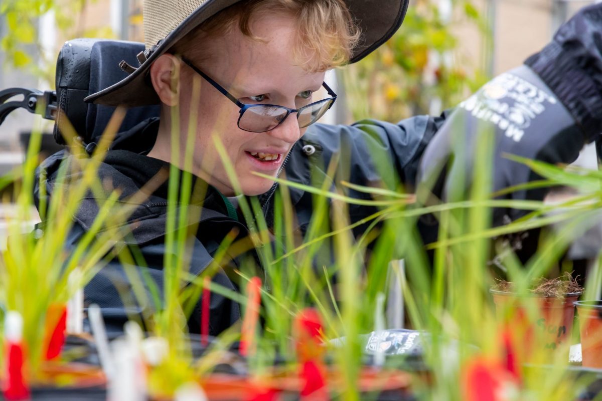 Horticulture learner in the greenhouse